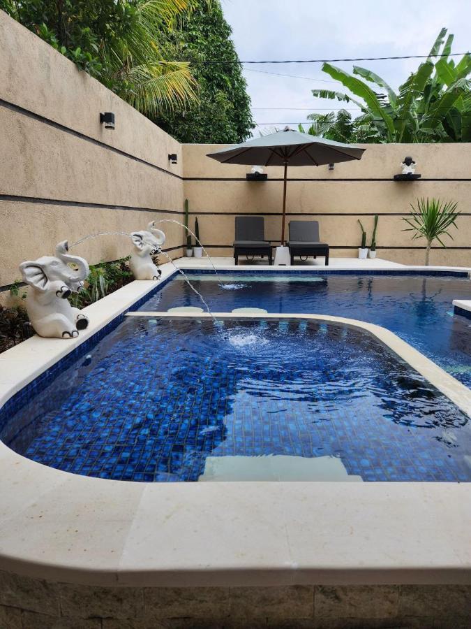 Villa Agrapana Lovina المظهر الخارجي الصورة